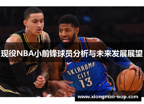 现役NBA小前锋球员分析与未来发展展望