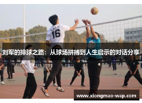 刘军的排球之路：从球场拼搏到人生启示的对话分享
